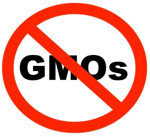 genetically modified foods